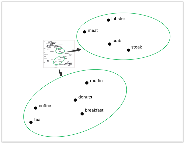 A vector database representation