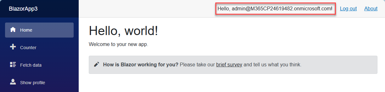 A successful login in the Blazor application